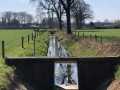 2025-04-02-Langenboom-011