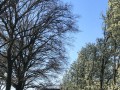 2025-04-02-Langenboom-012