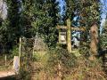 2025-04-02-Langenboom-016