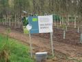 2025-04-16-Boskant-003