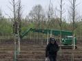 2025-04-16-Boskant-003a-1