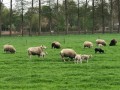 2025-04-16-Boskant-004