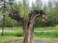 2025-04-16-Boskant-014