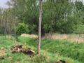 2025-04-16-Boskant-018