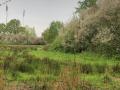 2025-04-16-Boskant-023