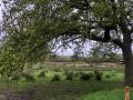 2025-04-16-Boskant-026