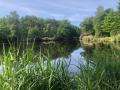 2025-05-14-Wamberg-005