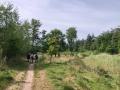 2025-05-14-Wamberg-008