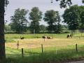 2025-05-14-Wamberg-011