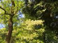 2025-05-14-Wamberg-021