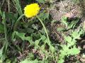 2025-05-14-Wamberg-026