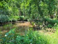 2025-06-11-Lennisheuvel-003