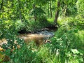 2025-06-11-Lennisheuvel-004