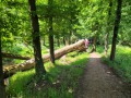 2025-06-11-Lennisheuvel-005