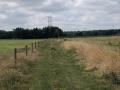 2025-06-25-De-Moer-001