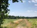 2025-06-25-De-Moer-014