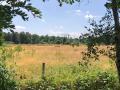 2025-06-25-De-Moer-016
