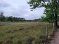 2025-07-23-Mierlo-01
