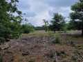 2025-07-23-Mierlo-05