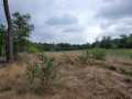 2025-07-23-Mierlo-06