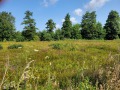 2025-08-06-Uden-012