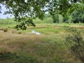 2025-08-06-Uden-023