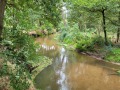 2025-09-03-Borkel-012