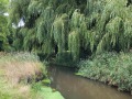 2025-09-03-Borkel-022