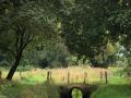 2025-09-03-Borkel-037