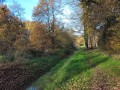 2025-11-12-Oirschot-011