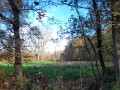 2025-11-12-Oirschot-013