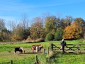2025-11-12-Oirschot-015