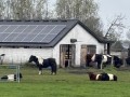 2025-11-26-Sint-Oedenrode-002