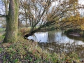 2025-11-26-Sint-Oedenrode-016