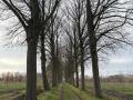2025-11-26-Sint-Oedenrode-024