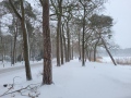 2026-01-07-Vught-001