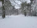 2026-01-07-Vught-004