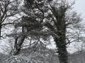2026-01-07-Vught-006
