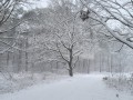 2026-01-07-Vught-011b