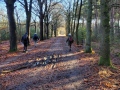2026-02-04-Waalwijk010