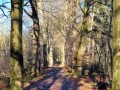 2026-02-04-Waalwijk014