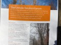 2026-02-04-Waalwijk019