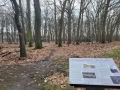 2026-02-18-Vlierden-017