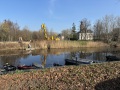 2026-03-04-Halder-001