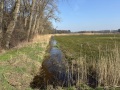2026-03-04-Halder-006