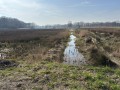 2026-03-04-Halder-007