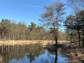 2026-03-18-Vught-003