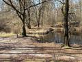 2026-03-18-Vught-004
