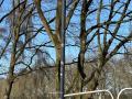 2026-03-18-Vught-005