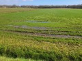 2026-04-01-Udenhout-001